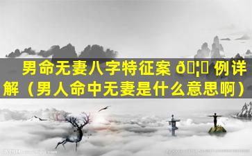 男命无妻八字特征案 🦁 例详解（男人命中无妻是什么意思啊）